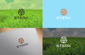 Logo Design by Visionary Creations