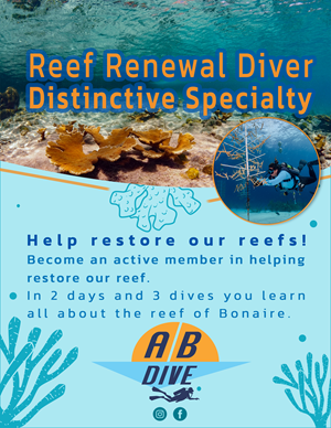 Diseño de Flyer por RAJU para AB Dive | Diseño #30108696