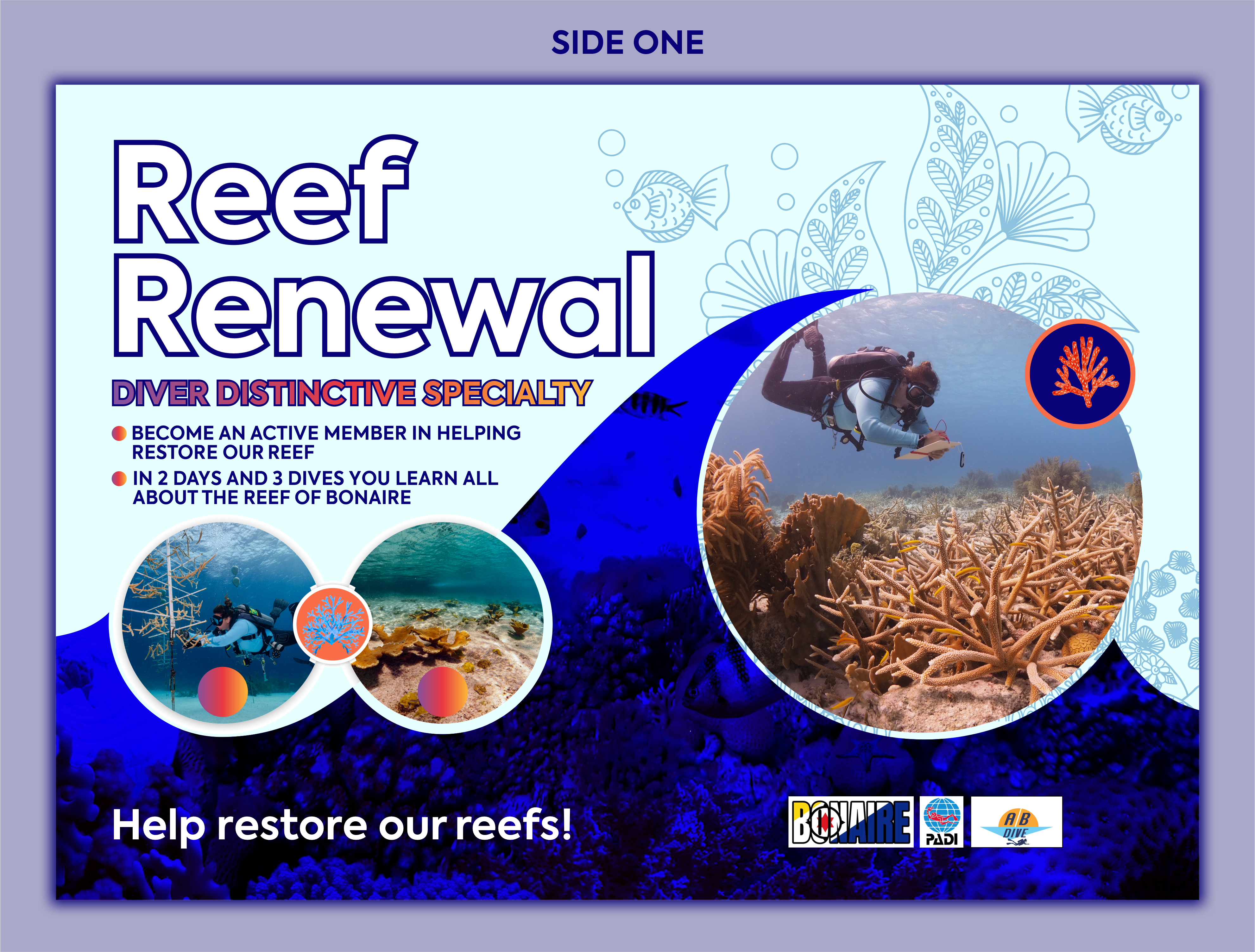 Flyer Design by Excellar Hub for AB Dive | Design #30109126