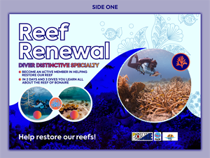 Flyer Design by Excellar Hub for AB Dive | Design: #30109126