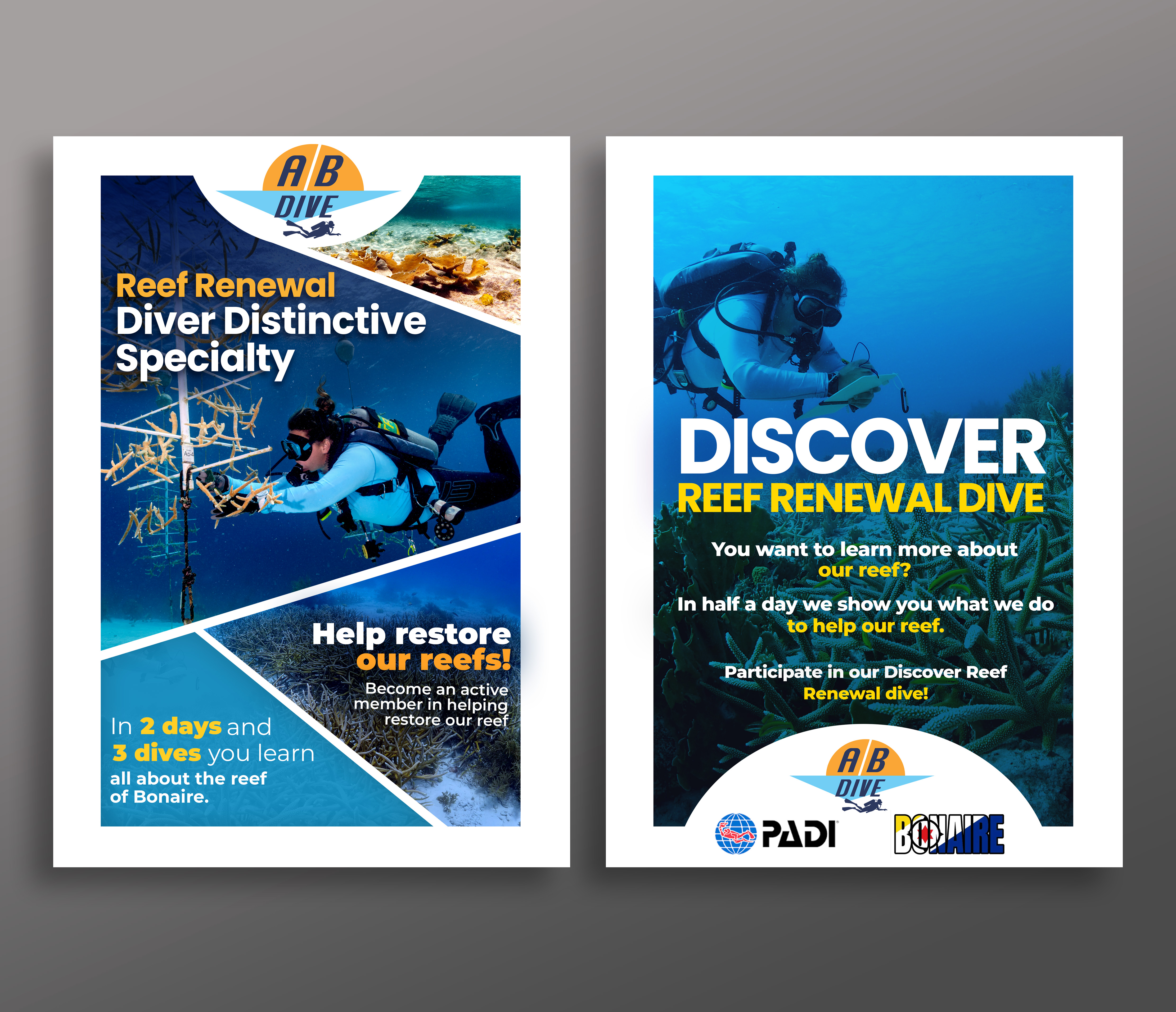 Design de Flyer par Md. Humayun pour AB Dive | Design #30099486
