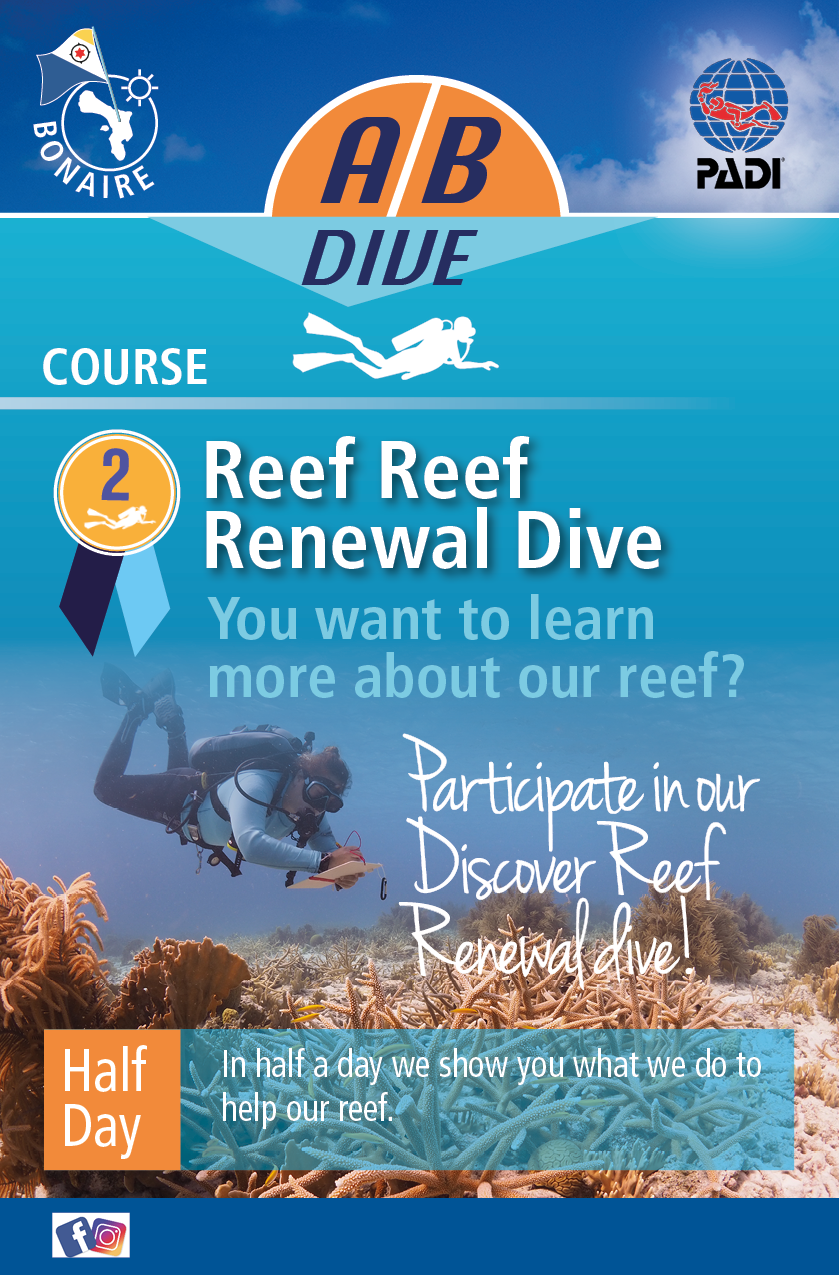 Flyer Design by LOM for AB Dive | Design #30094150