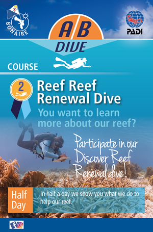 Diseño de Flyer por LOM para AB Dive | Diseño #30094150