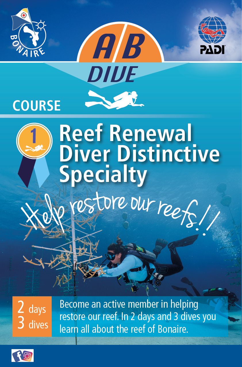 Flyer Design by LOM for AB Dive | Design #30094151