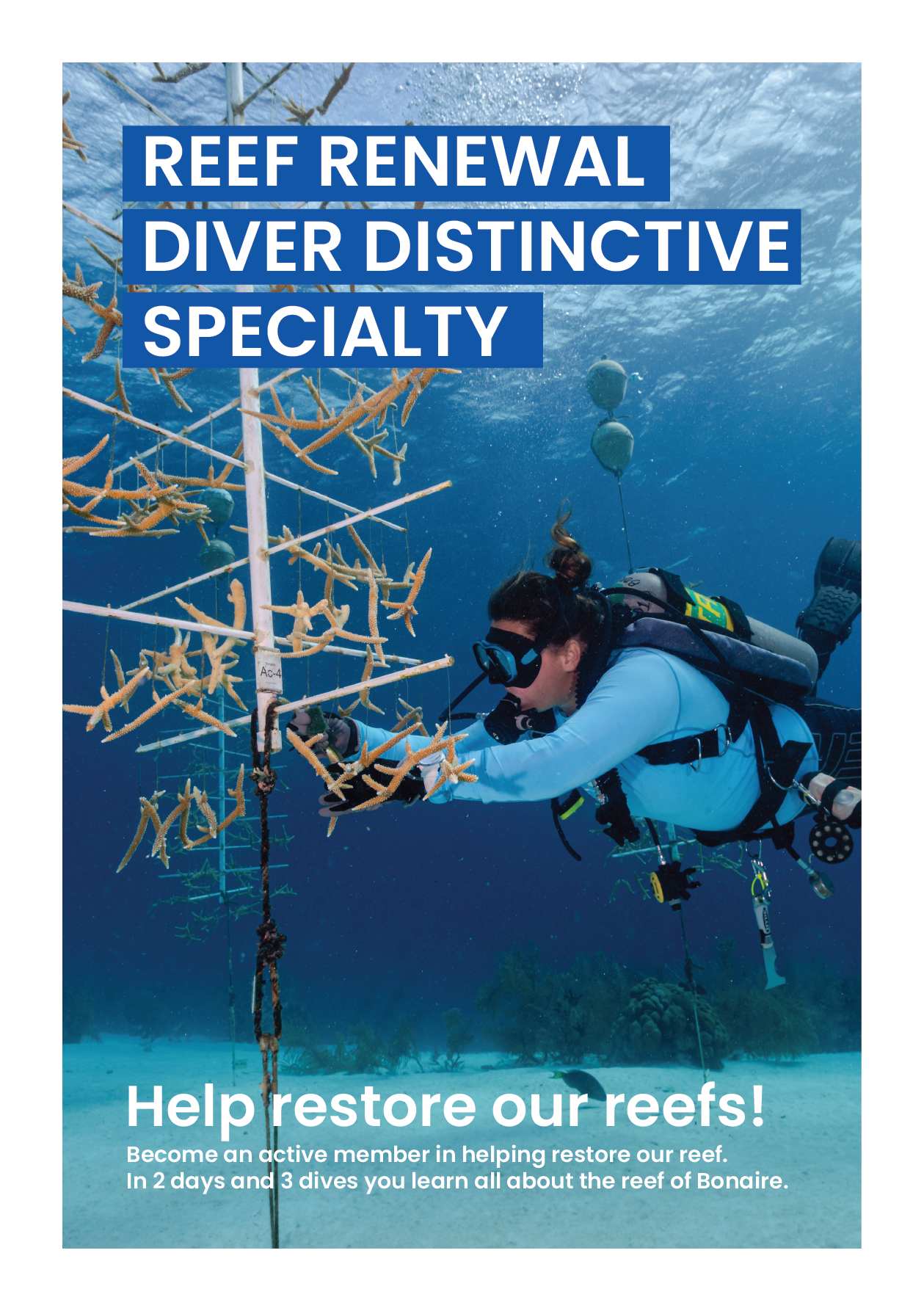 Diseño de Flyer por Fahad para AB Dive | Diseño #30089548