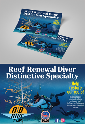 Diseño de Flyer por Impressive Sol para AB Dive | Diseño #30096511