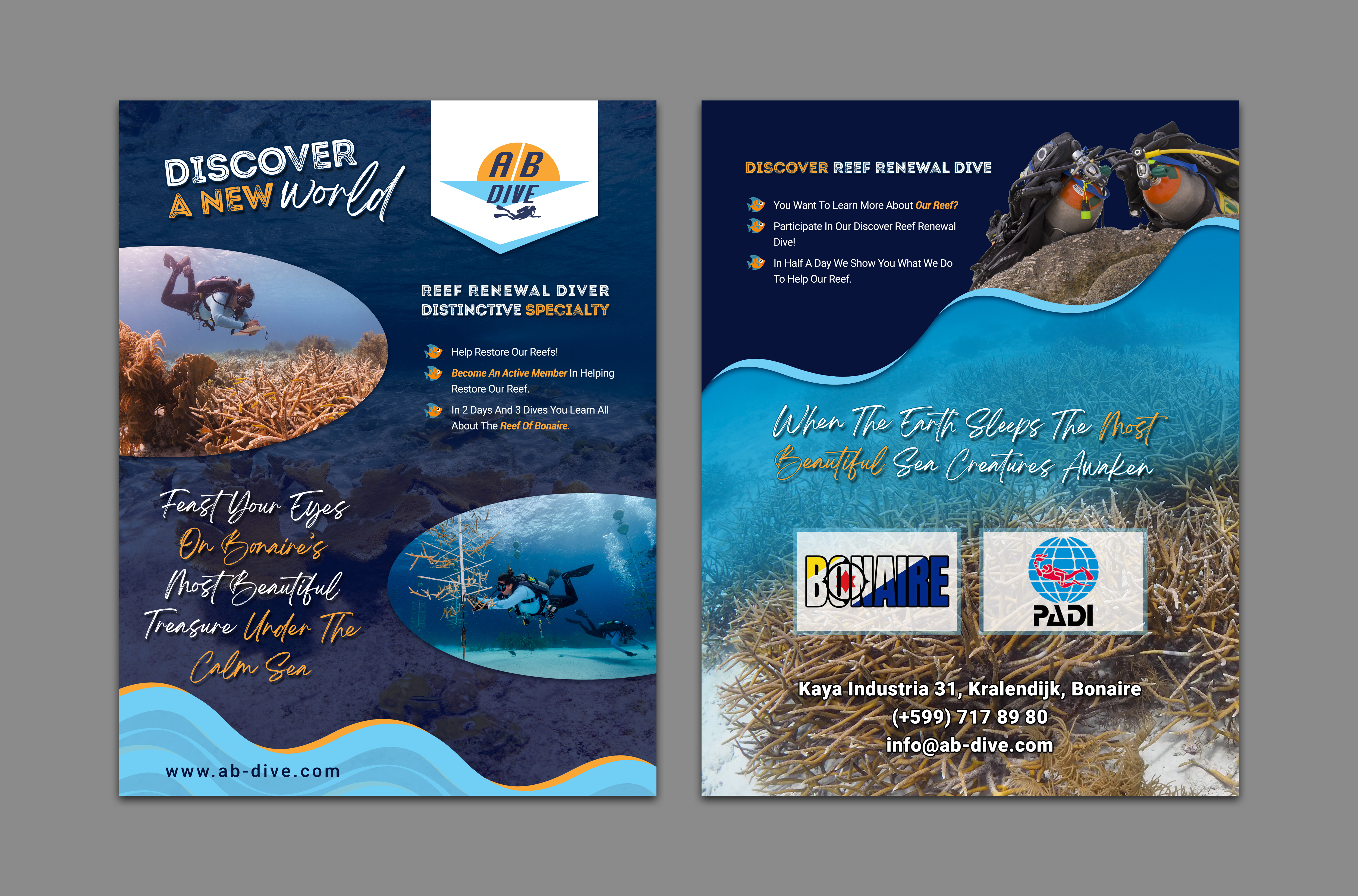 Flyer Design by FaharMirza for AB Dive | Design #30091394