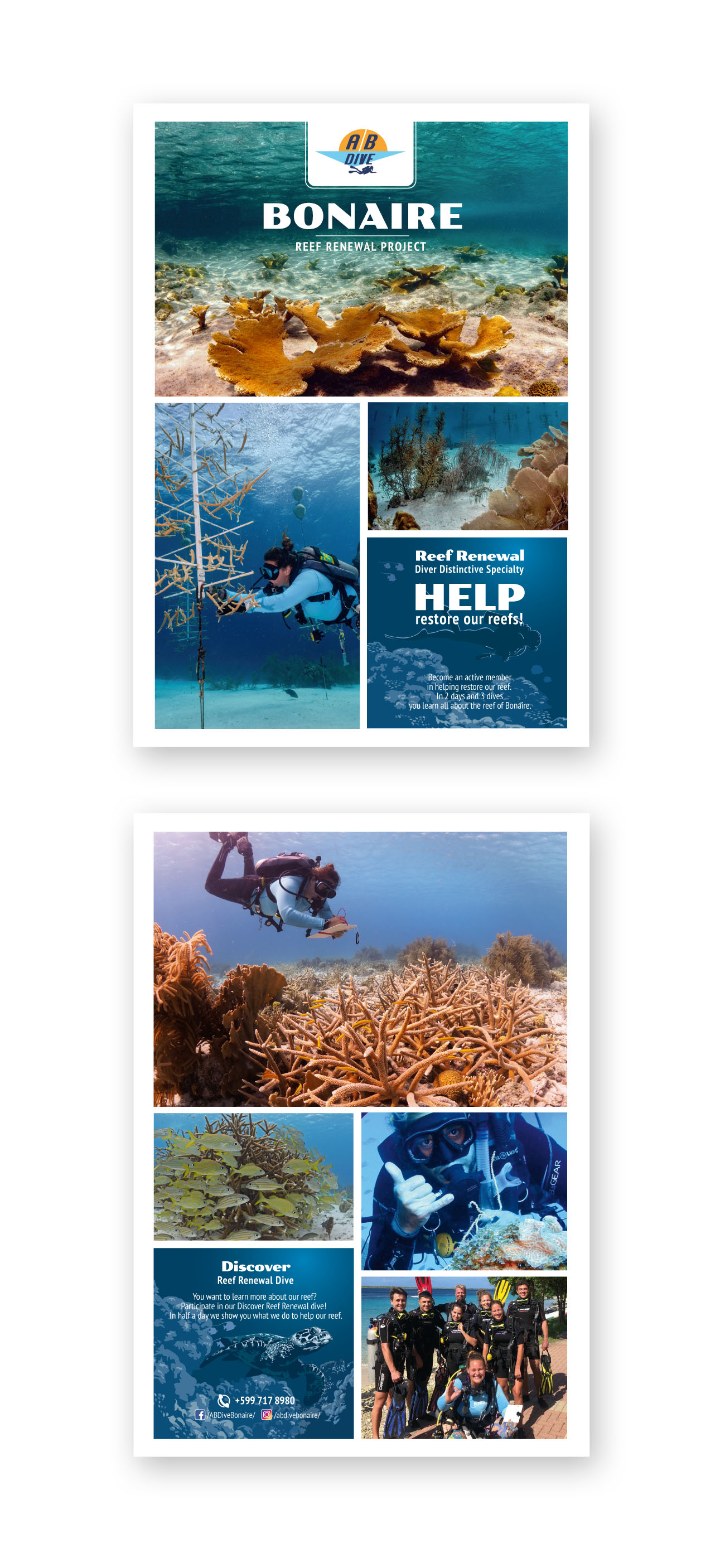 Flyer Design by Oleg Androsov for AB Dive | Design #30107673