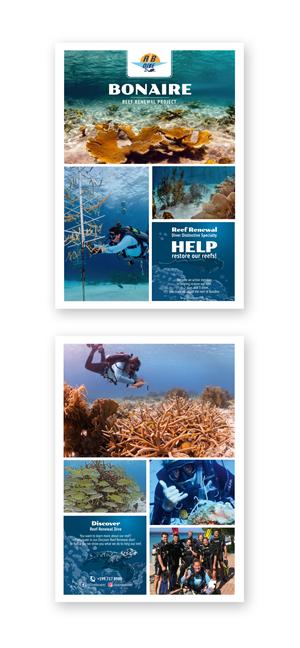 Design de Flyer par Oleg Androsov pour AB Dive | Design : #30107673