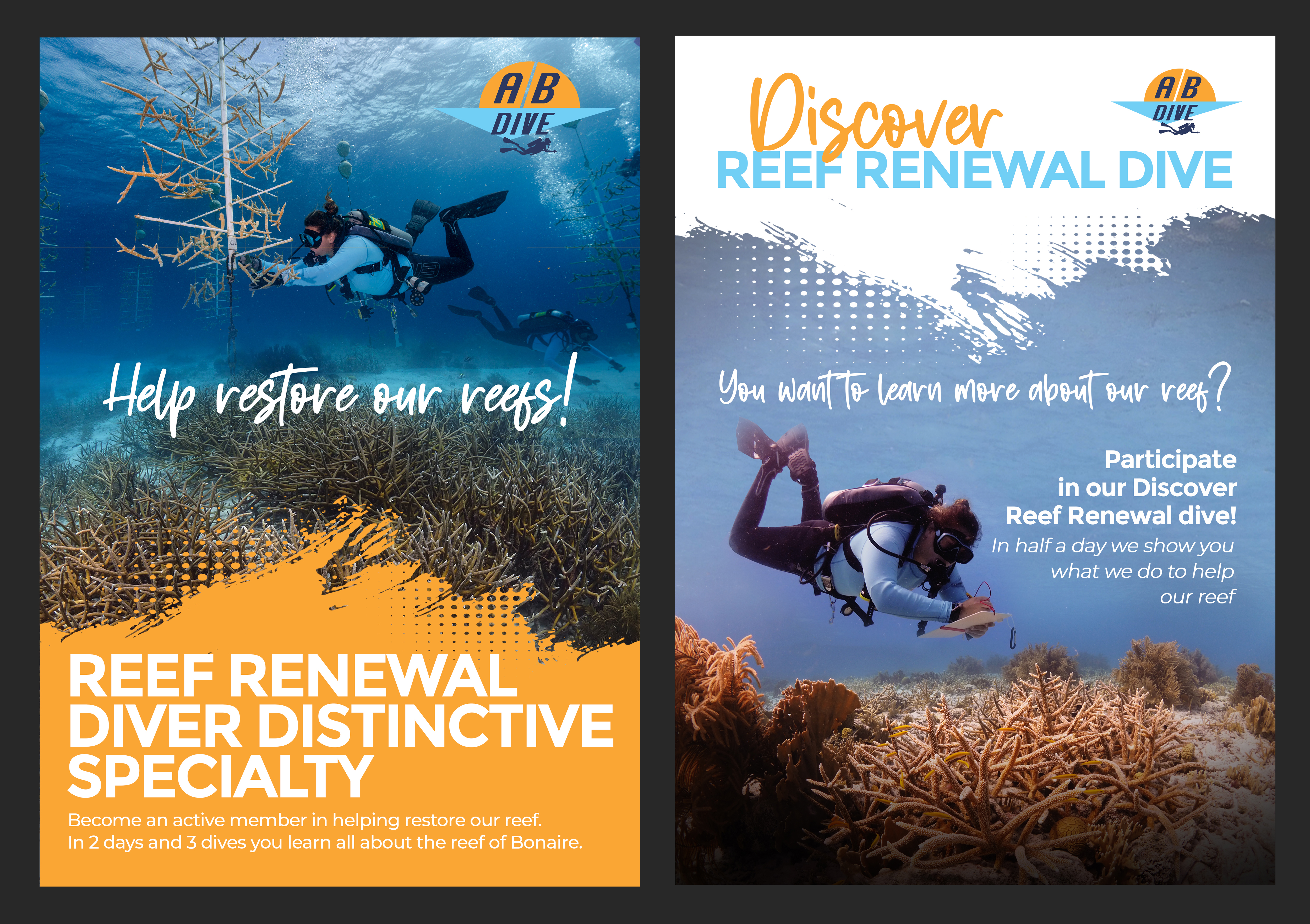 Flyer Design by aj for AB Dive | Design #30091311