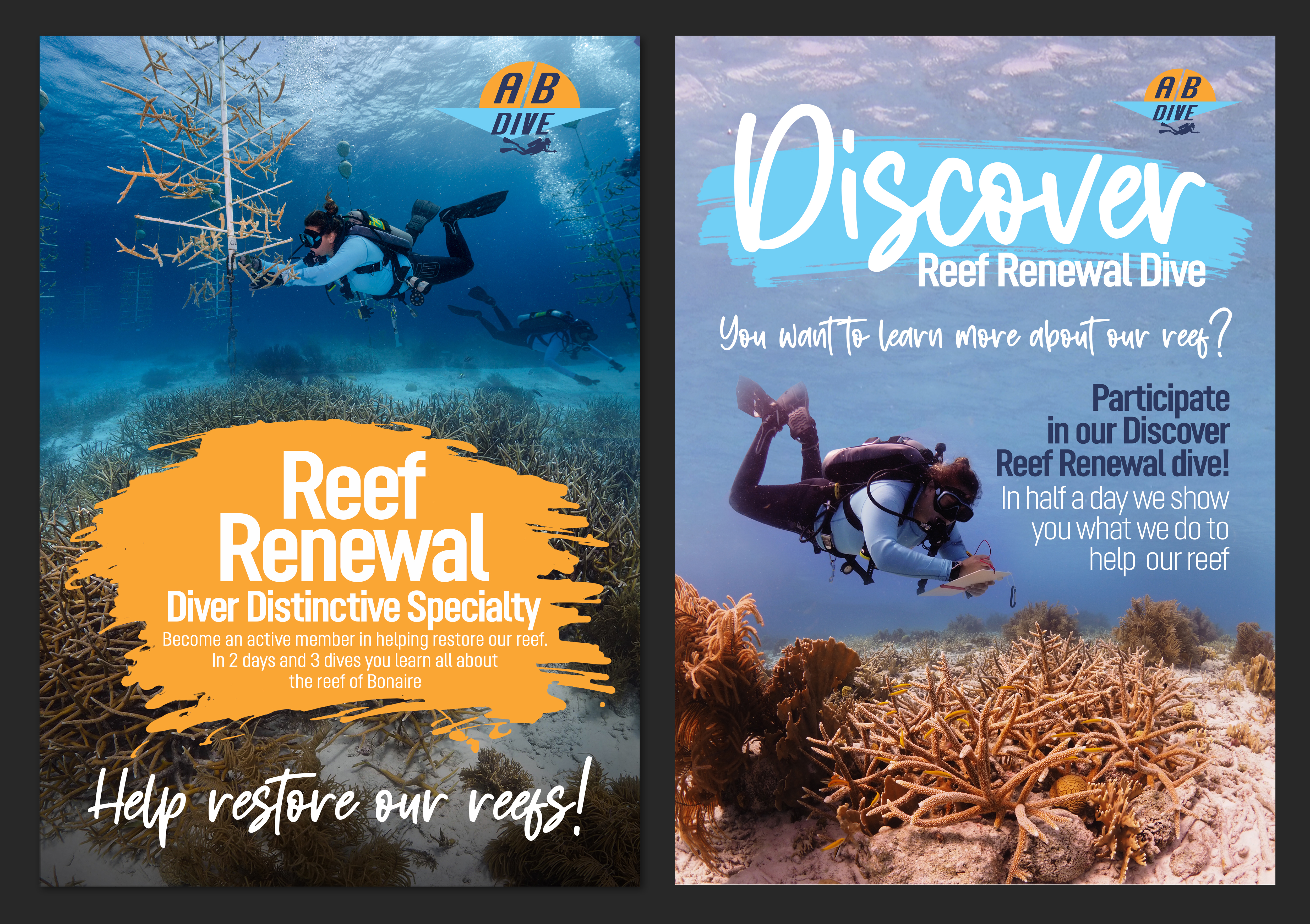 Flyer Design by aj for AB Dive | Design #30091313