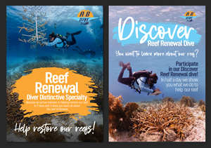 Diseño de Flyer por aj para AB Dive | Diseño: #30091313