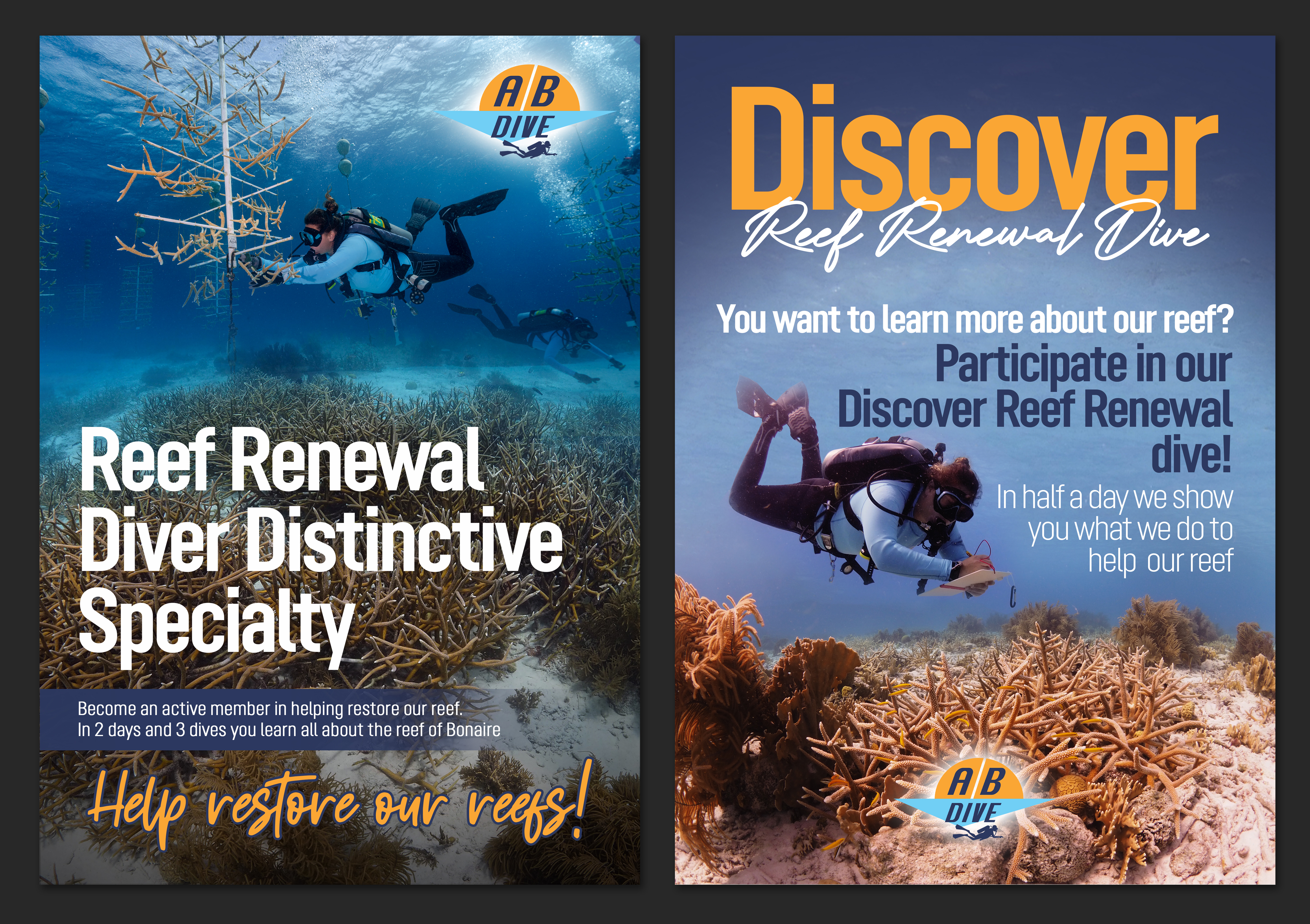 Flyer Design by aj for AB Dive | Design #30091316