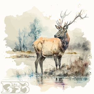 T-shirt Design by graphicclassic for Bass, Bucks, And Birds | Design: #30135690