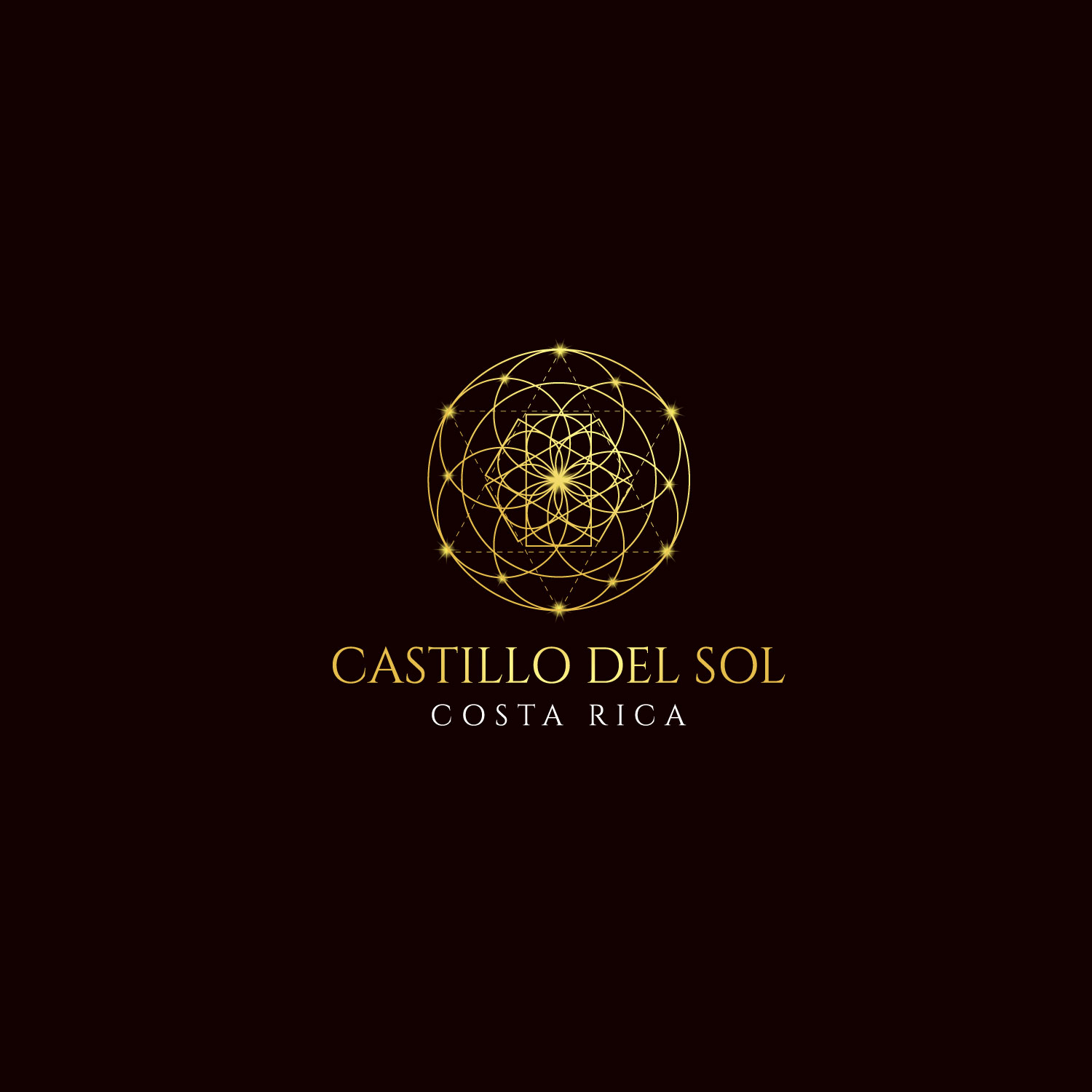 Logo Design by Revolt Team for this project | Design #30090601
