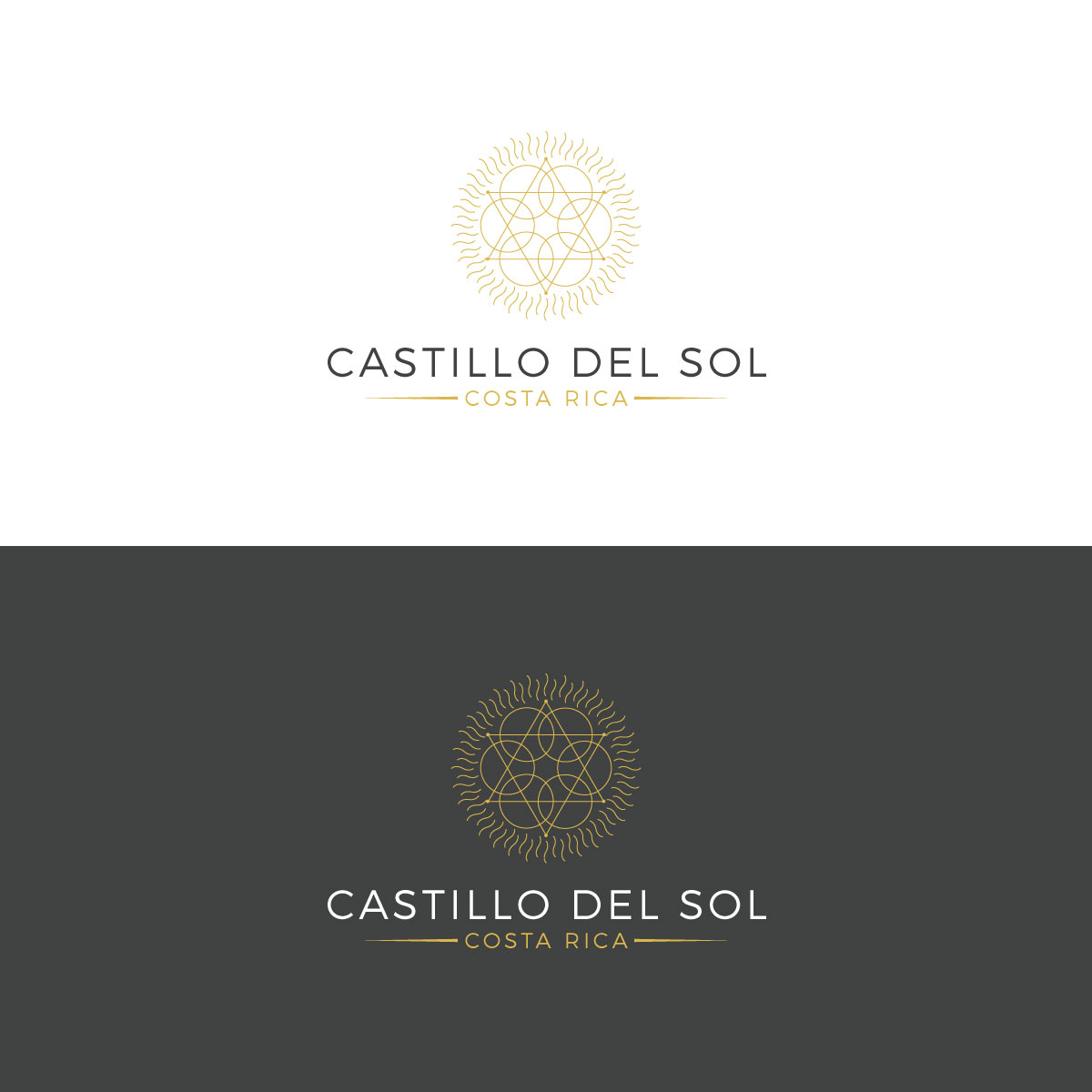 Diseño de Logo por Aleth para este proyecto | Diseño #30098121