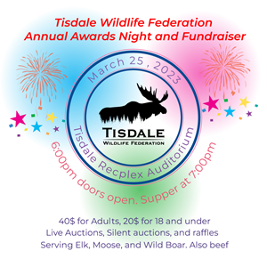 Poster Design by Aboshahen