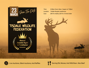 Poster Design by FaharMirza for this project | Design: #30128940