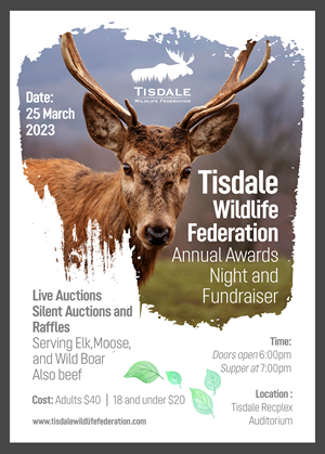 Poster Design by aj for this project | Design: #30111538