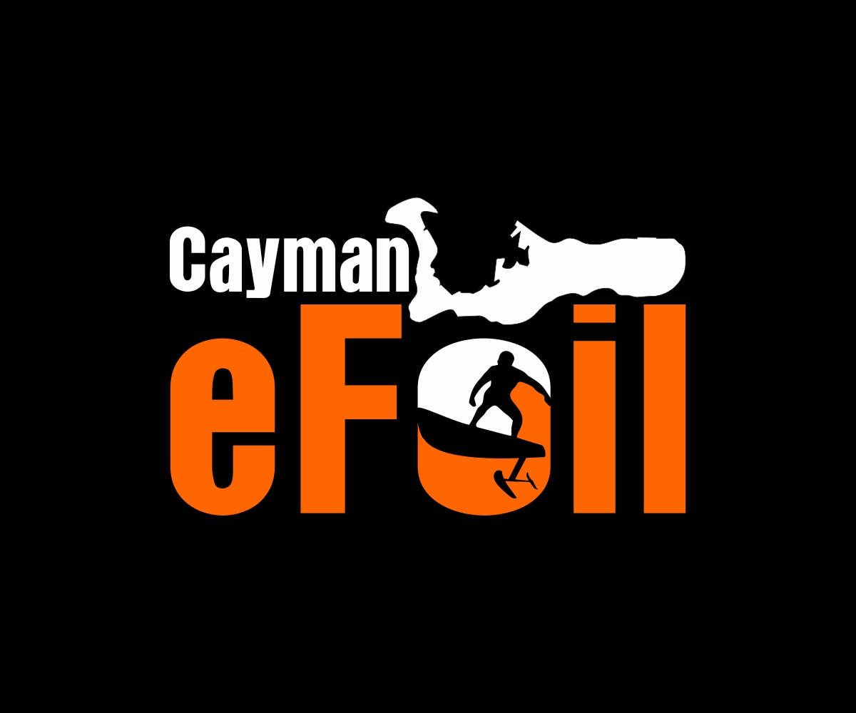 Design de Logo par Nono KonsepVector pour ce projet | Design #30136664