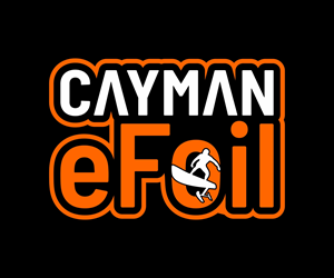 Logo Design by Nono KonsepVector for this project | Design: #30137016