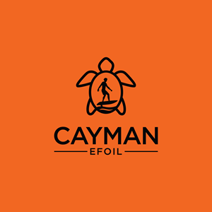 Logo Design by LAXMI DESIGNHUB for this project | Design #30097801