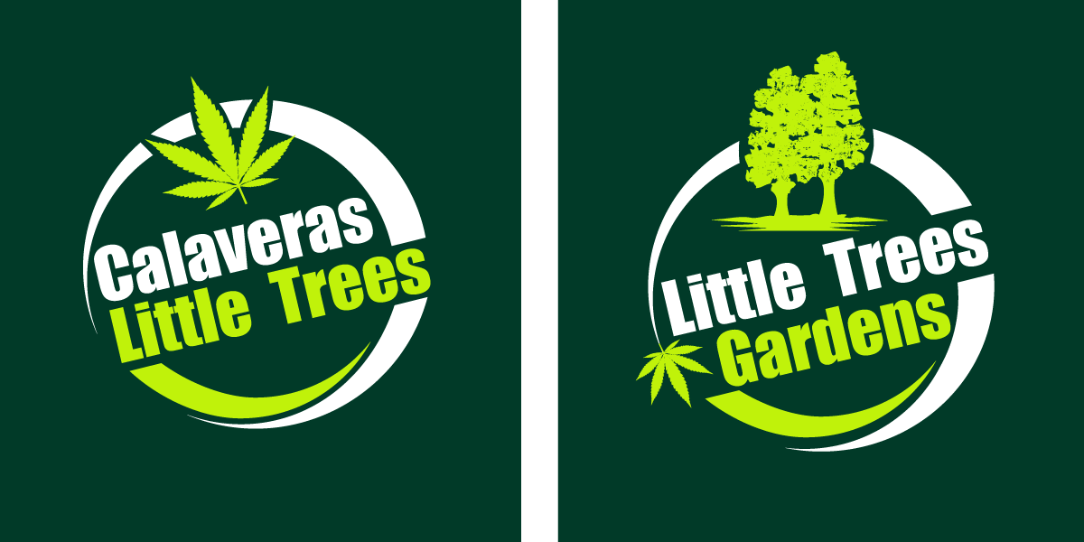 Logo Design by shalvin for this project | Design #30105832