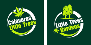 Logo Design by shalvin