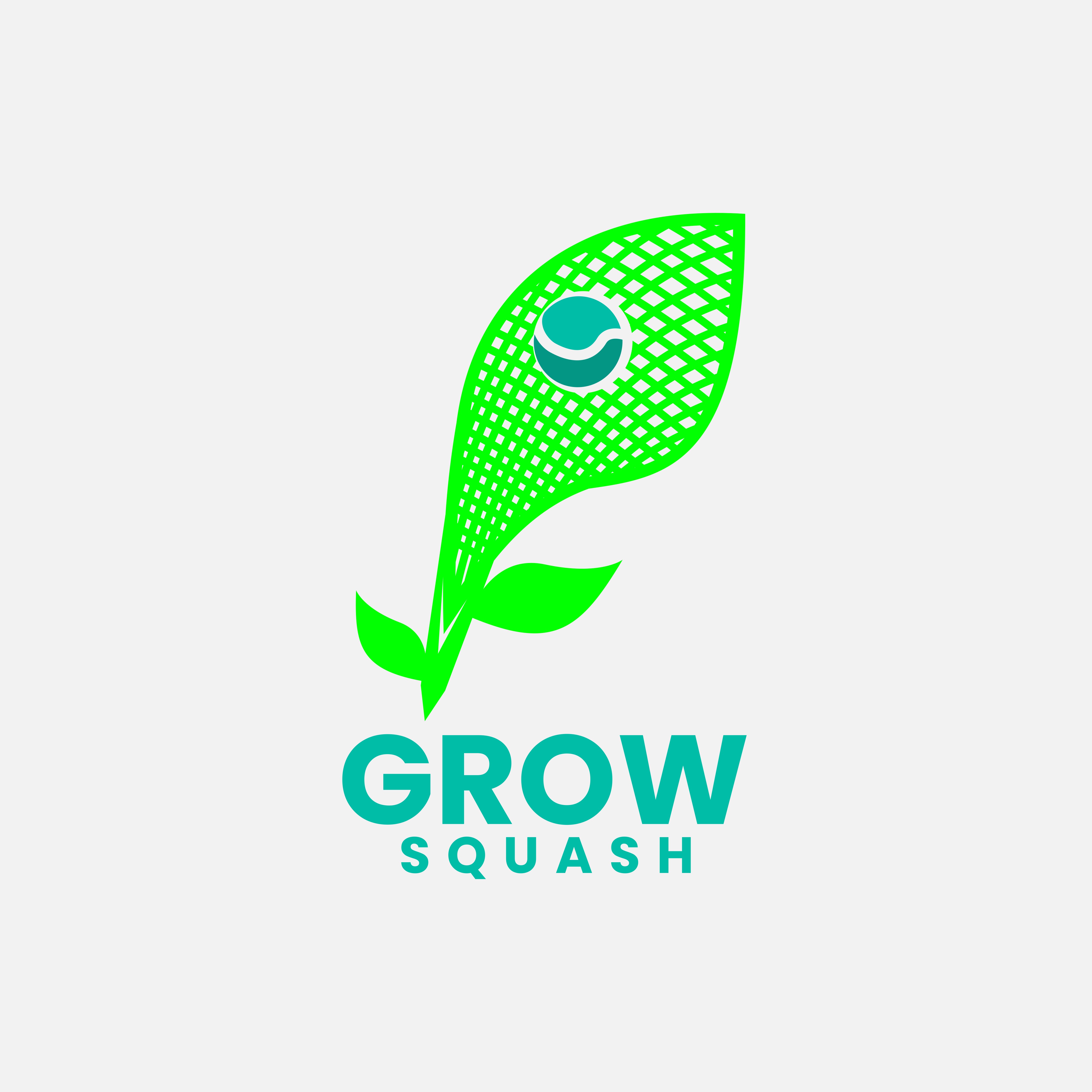 Logo Design by Logo Specialized for US Squash | Design #30131092