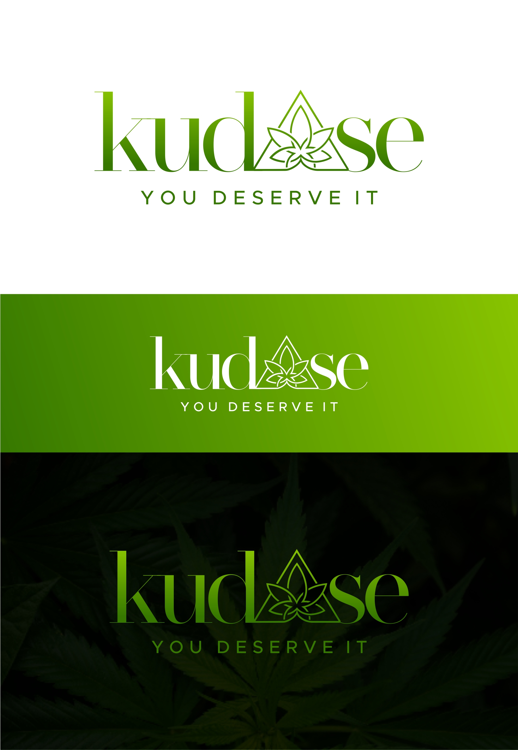 Diseño de Logo por debdesign para este proyecto | Diseño #30105987