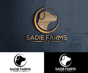 Logo-Design von 24ksunny für dieses Projekt | Design: #30101638