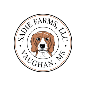 Logo Design by Squada Designs