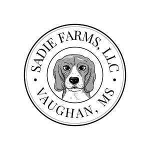 Diseño de Logo por Squada Designs para este proyecto | Diseño: #30103826