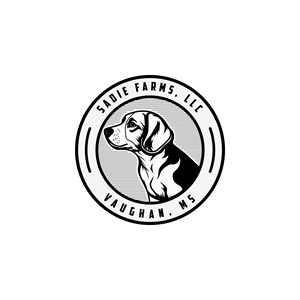 Logo Design by graphigo for this project | Design: #30112656