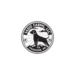 Logo Design by Modan Mohan Mohini