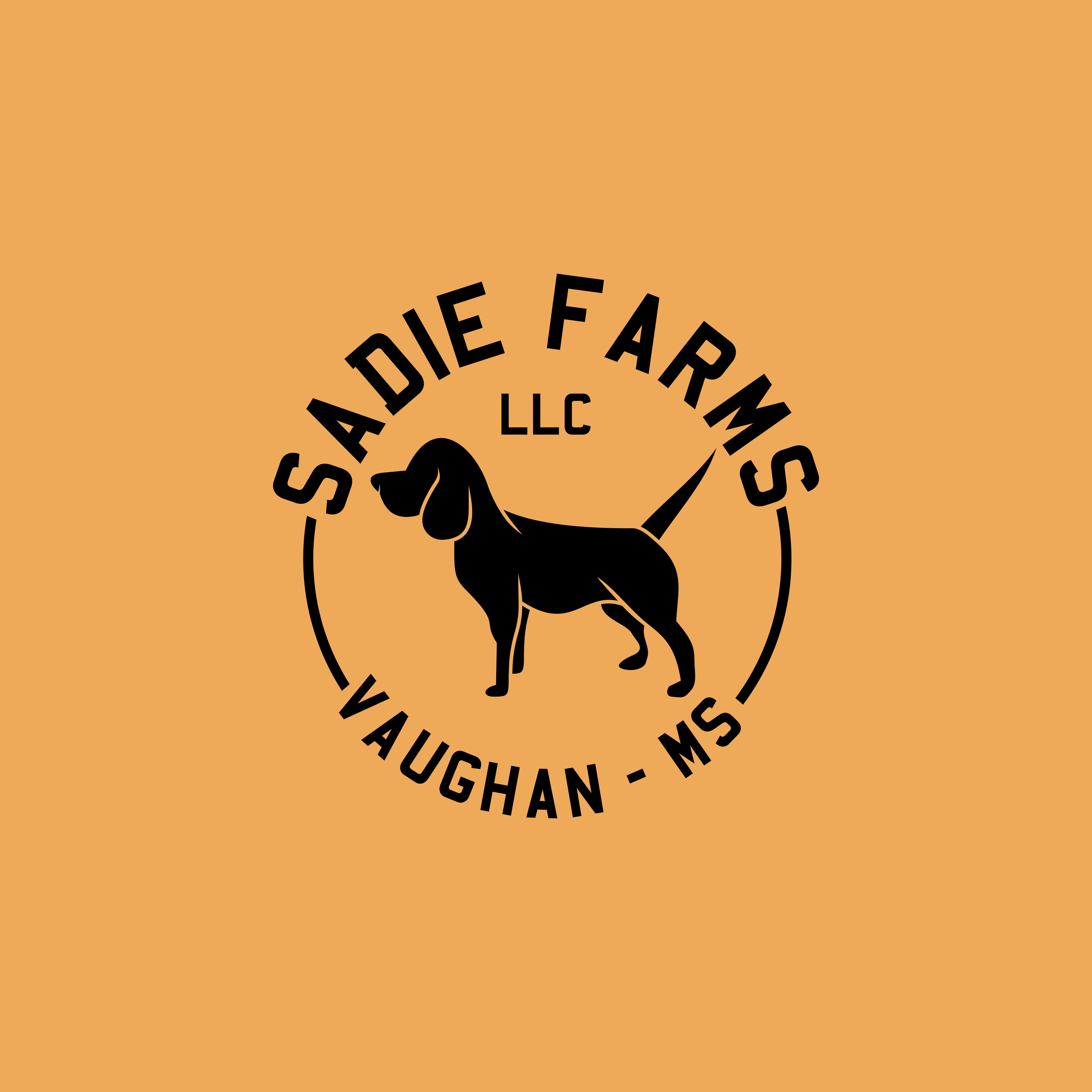 Logo Design by Jeferson HP for this project | Design #30108178