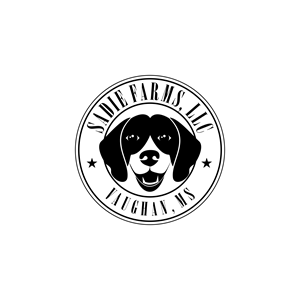 Logo-Design von Jeferson HP für dieses Projekt | Design: #30108180