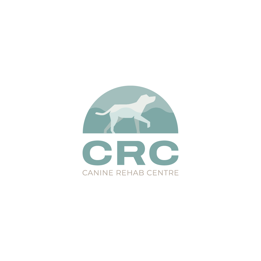 Logo Design by Jerwin Intac for this project | Design #30167021