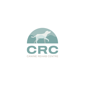 Logo Design by Jerwin Intac