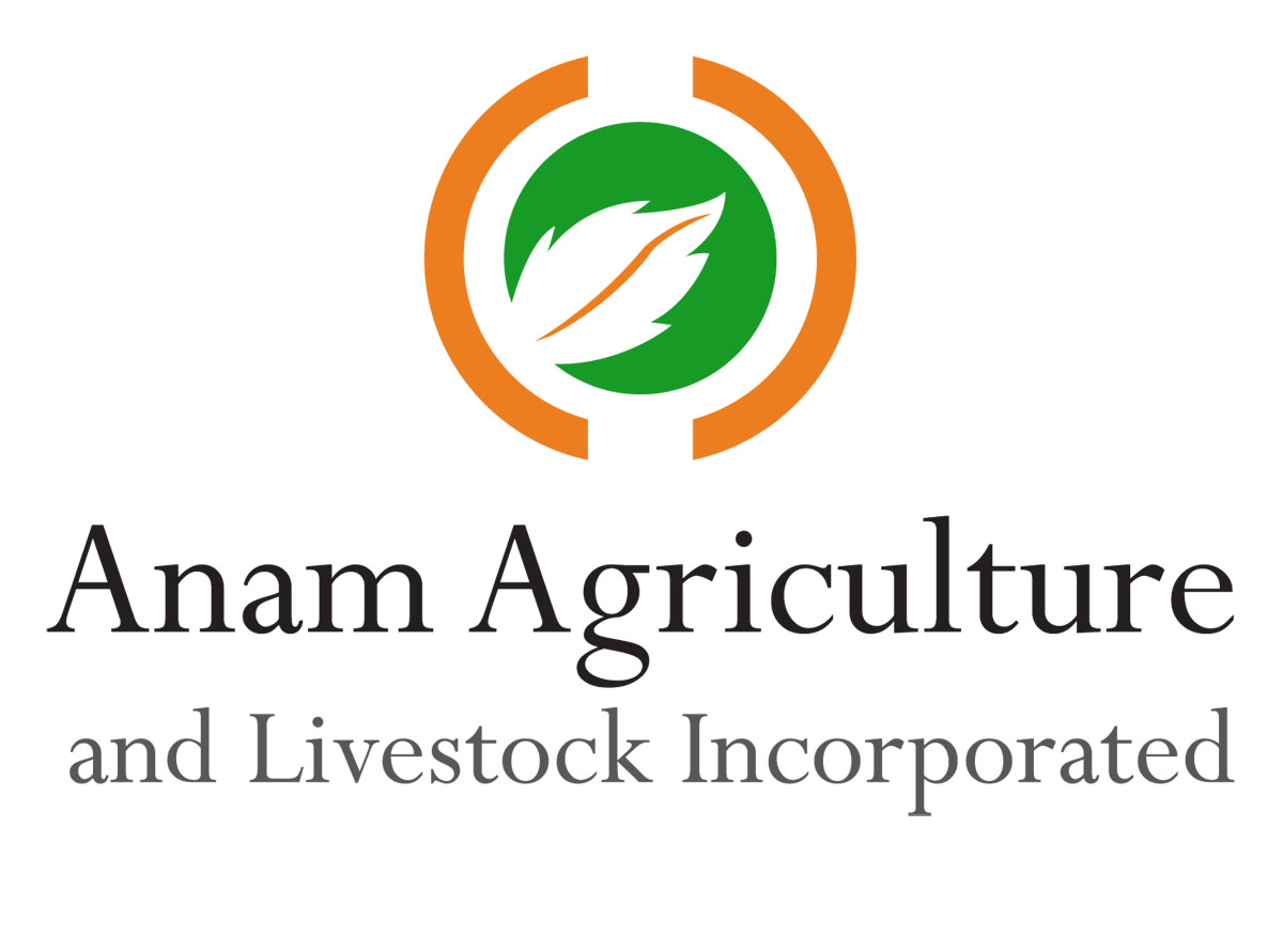 Logo Design by Elkana Letting for Afghanistan Holding Group | Design #3083061