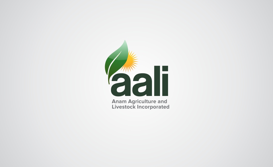 Logo Design by Brainzone for Afghanistan Holding Group | Design #3084656