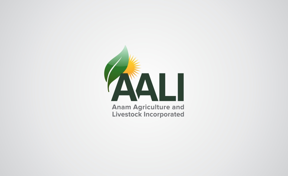 Logo Design by Brainzone for Afghanistan Holding Group | Design: #3123977