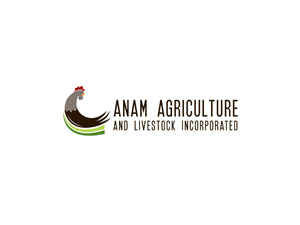 Logo Design by B.Tibéri for Afghanistan Holding Group | Design: #3085969