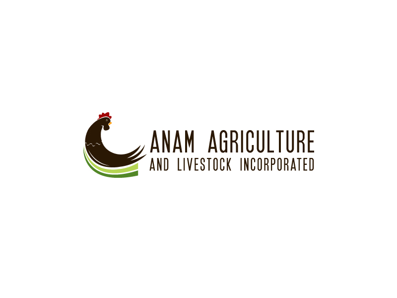 Diseño de Logo por B.Tibéri para Afghanistan Holding Group | Diseño #3085972