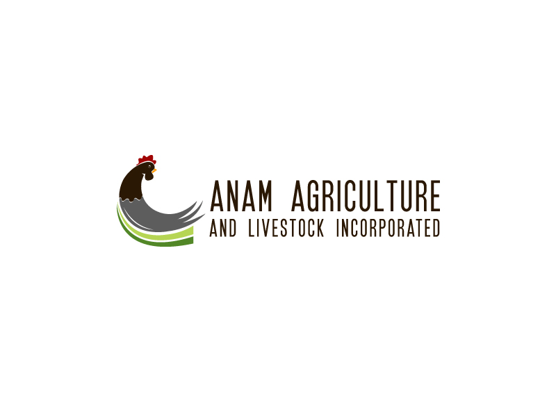 Logo-Design von B.Tibéri für Afghanistan Holding Group | Design #3085973