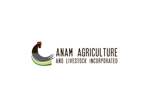 Logo Design by B.Tibéri for Afghanistan Holding Group | Design: #3085973