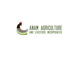 Logo Design by B.Tibéri for Afghanistan Holding Group | Design: #3087637