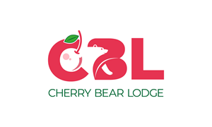 Logo Design by Abidvisuals