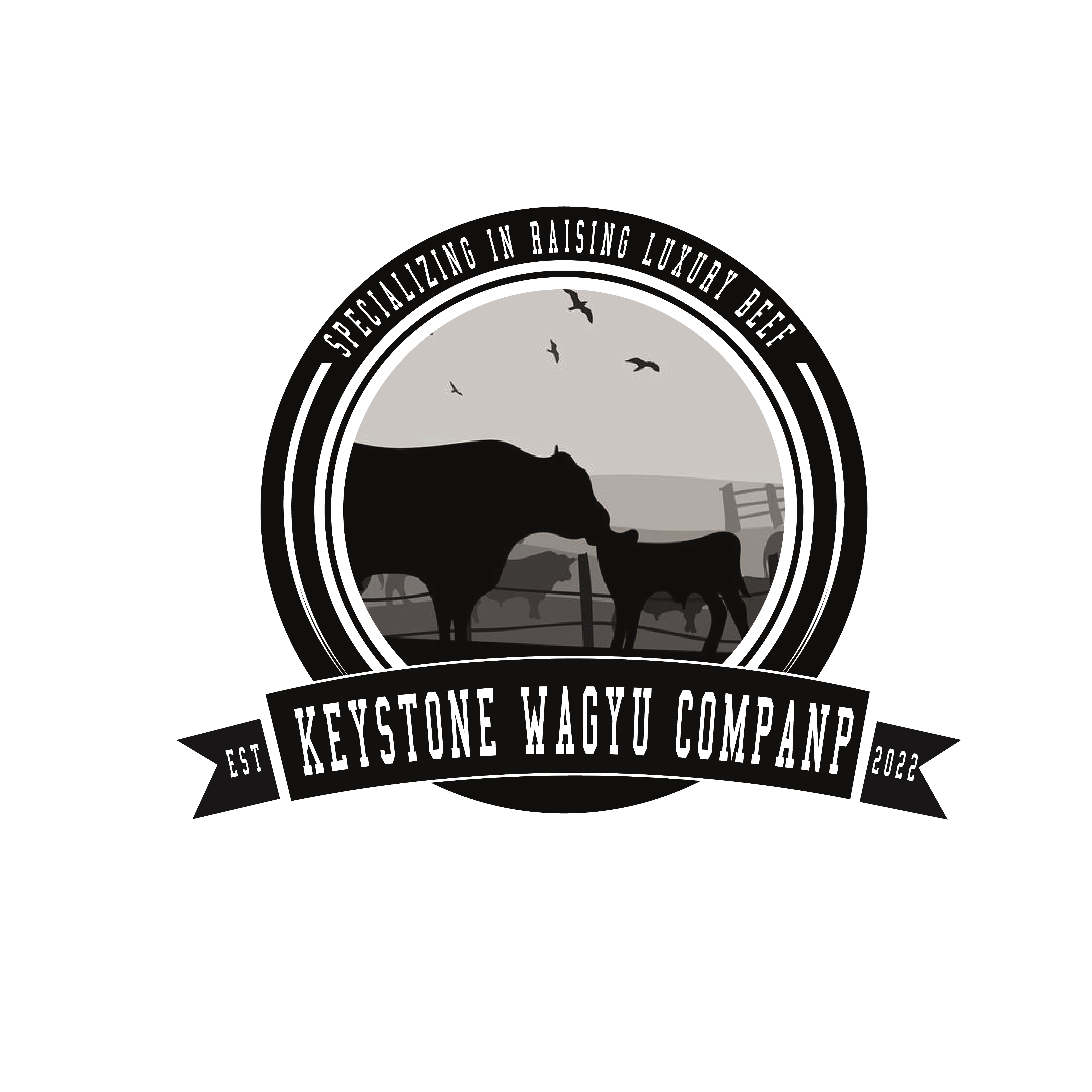 Diseño de Logo por BOMBAS para este proyecto | Diseño #30158890