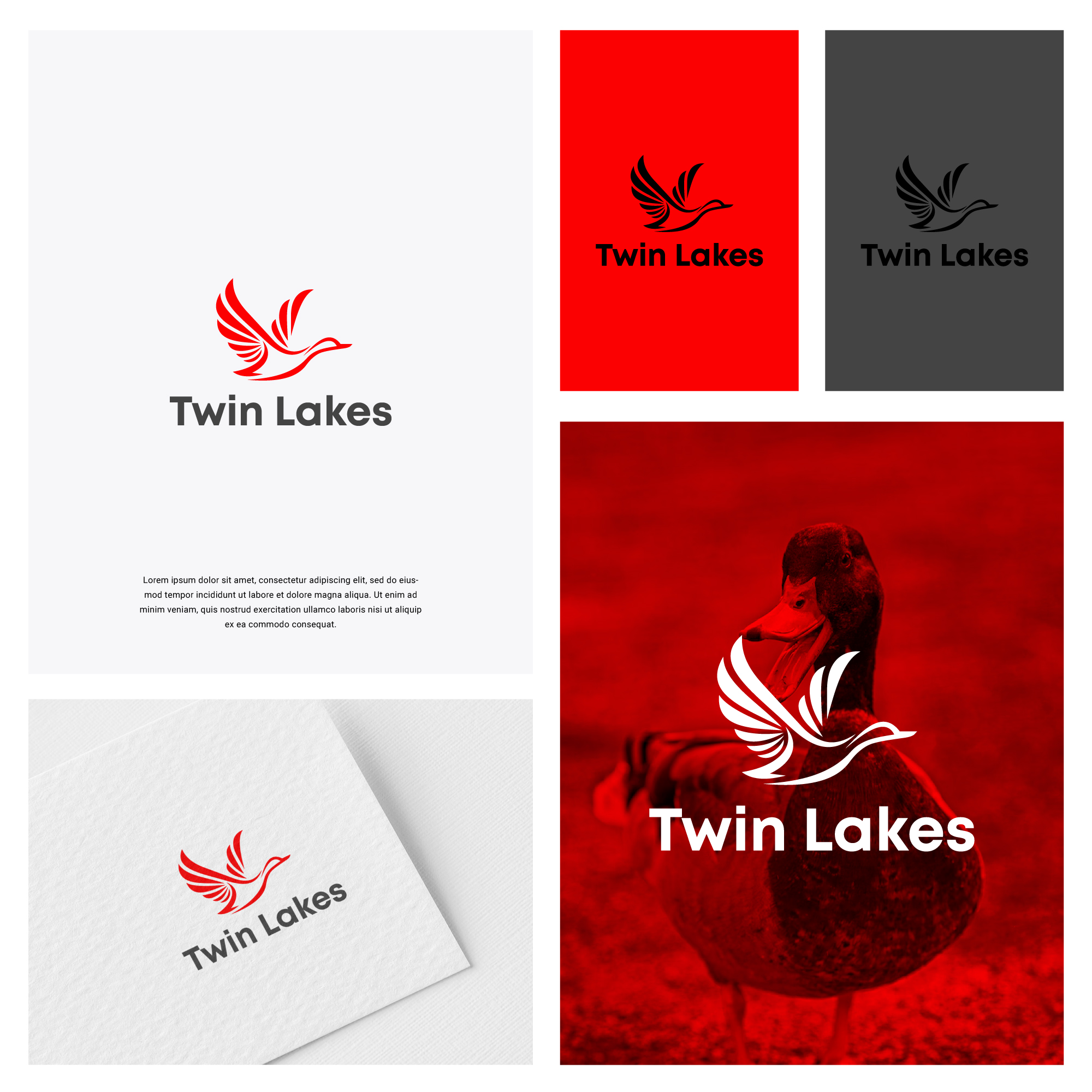 Diseño de Logo por HWdesigns para este proyecto | Diseño #30128740